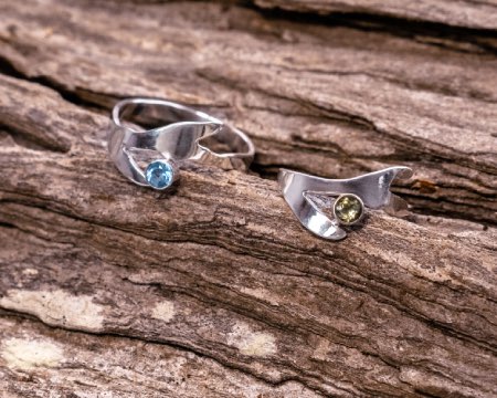 two rings with a twig design